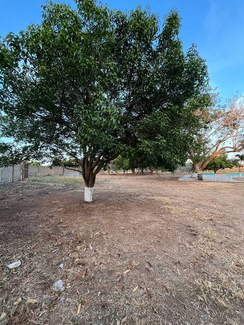 Finca con cas en Sector San Antonio. Anaco. Ref: 1621 - Image 17