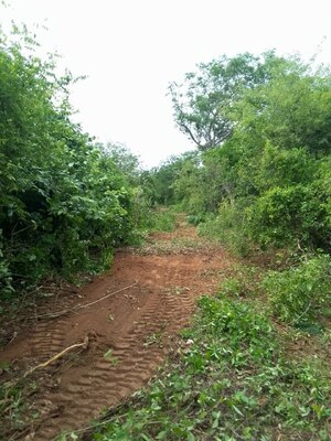 Finca en Santa Ana. Ref: 1689 - Image 8