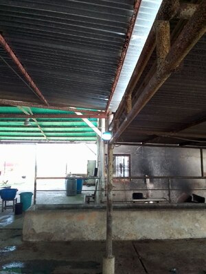 Finca en Santa Ana. Ref: 1689 - Image 2