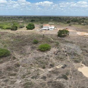 Finca en Santa Ana. Ref: 1689