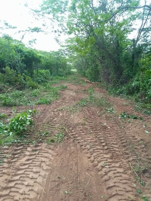 Finca en Santa Ana. Ref: 1689 - Image 5