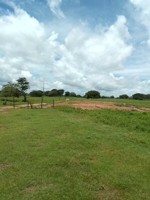 Finca en Santa Ana. Ref: 1689 - Image 15